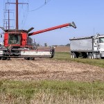 Fall harvest has begun in our area. The landscape is buzzing with equipment from combines to semis to tractors and grain carts or gravity boxes. This photo was taken between Fairfax and Franklin